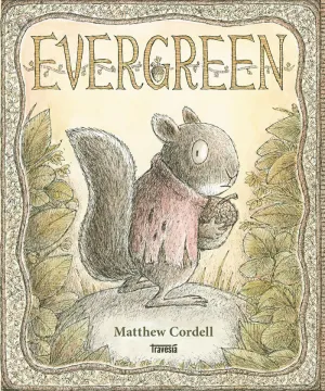 Evergreen