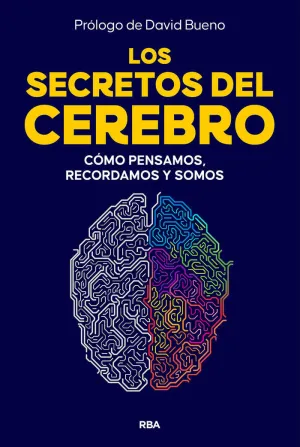 Secretos del Cerebro, los