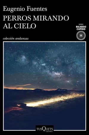 Perros Mirando Al Cielo
