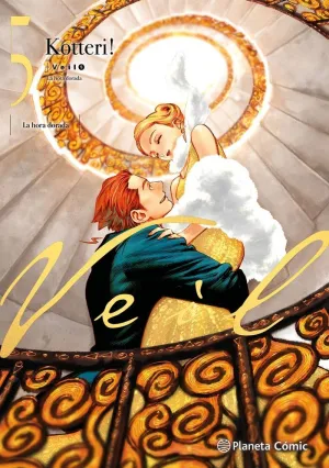 5. Veil