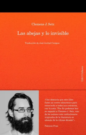 Las Abejas y lo Invisible