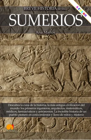 Breve Historia de los Sumerios N. e.