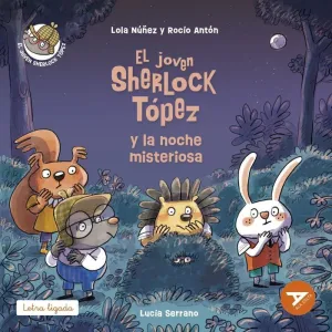 Joven Sherlock Topez y la Noche Misteriosa, el