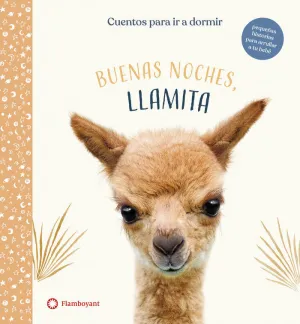Buenas Noches Llamita