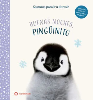 Buenas Noches Pinguino