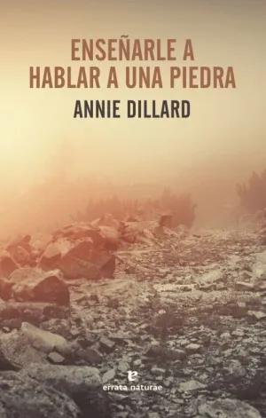 Enseñarle a Hablar a una Piedra