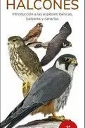 Halcones - Guias Desplegables Tundra