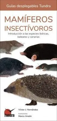 Mamiferos Insectivoros