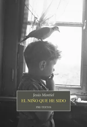 El Niño que He Sido
