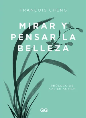 Mirar y Pensar la Belleza
