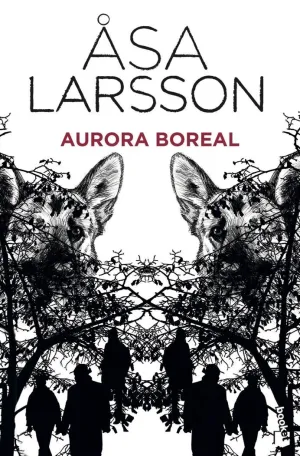 Aurora Boreal