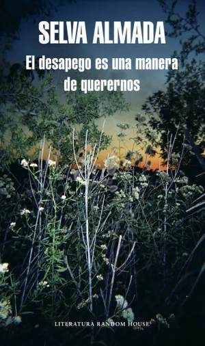 Desapego Es una Manera de Querernos, el