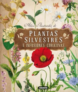 Atlas Ilustrado Plantas Silvestres e Infusiones Cu
