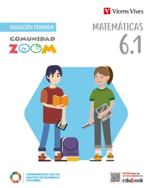 Matemáticas 6 Ep. trim. com. zoom.