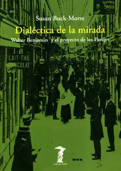 Dialéctica de la Mirada