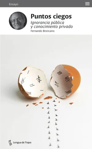 Puntos Ciegos