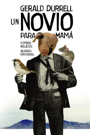 Un Novio para Mama