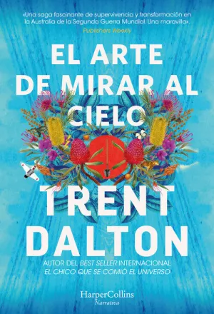 Arte de Mirar Al Cielo, el