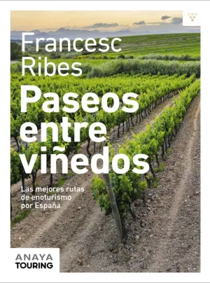 Paseos entre Viñedos