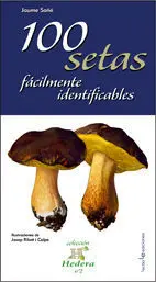 100 Setas Fácilmente Identificables