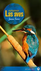Conocer las Aves