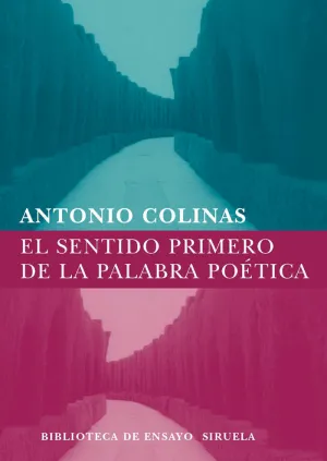 Sentido Primero de la Palabra Poetica Bem-59