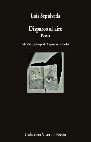 Disparos Al Aire